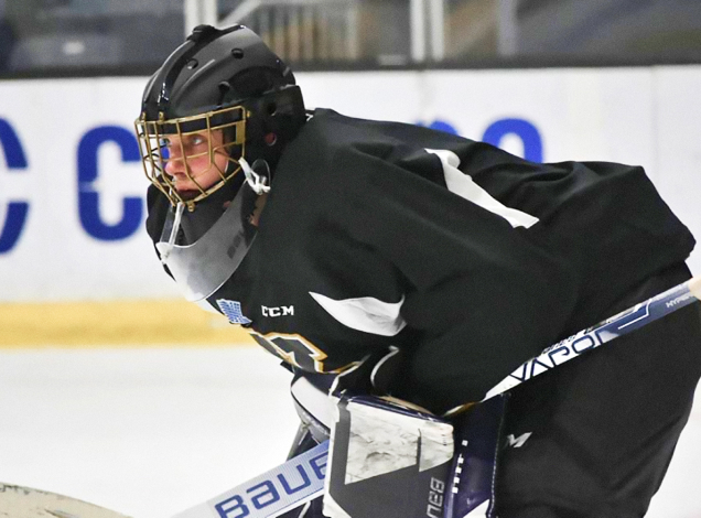 PRO Line of products and supplements