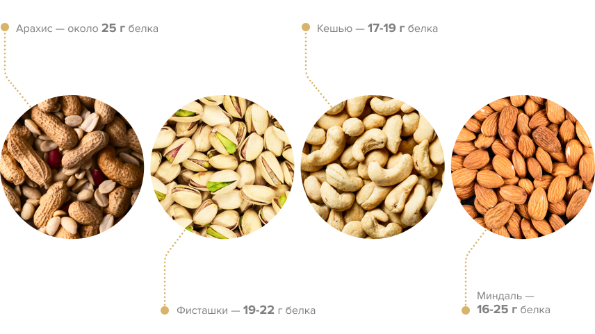 В каких продуктах содержится много белка?