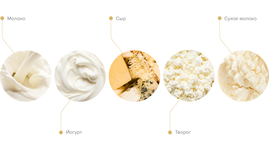 Преимущества молочного протеина: что это за протеин и как его принимать 3